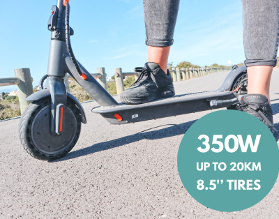 Electric Scooter 350W