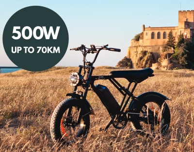 Electric Fat Tire Bike