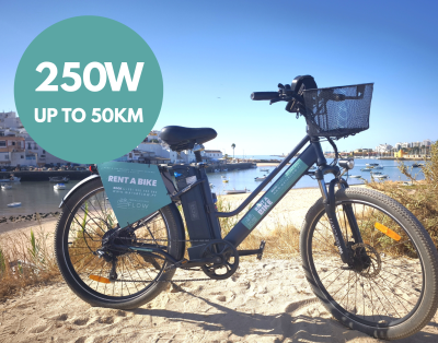 Electric City Bike