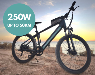 Electric Mountain Bike