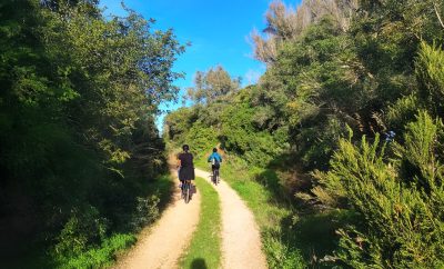 Rent a Bike in Lagoa: Discover the Algarve on Two Wheels