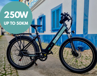 Electric Trekking Bike