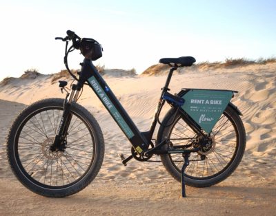 Electric Trekking Bike
