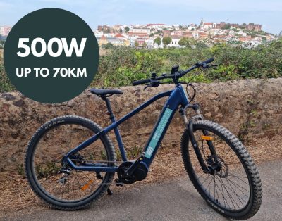 500w Electric Mountain Bike